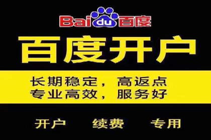 成功案例分享：SEM推广策略的制定与执行